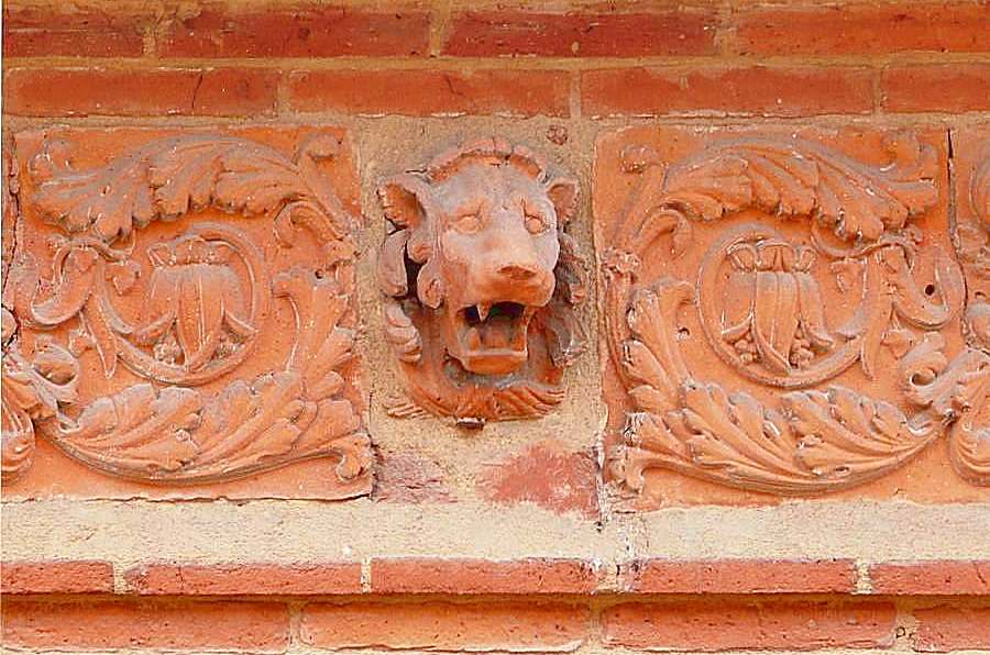 les Lions